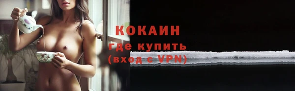 не бодяженный Алексин