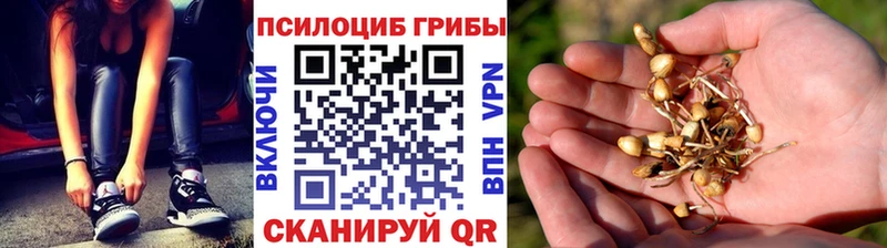 Галлюциногенные грибы Magic Shrooms  купить наркотики цена  Жуковка 